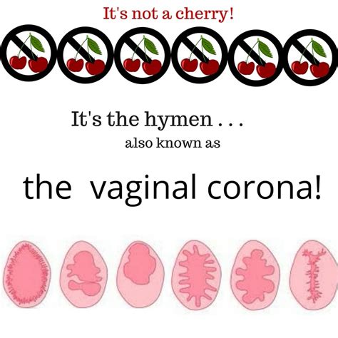 popping a girls cherry|7 Fascinating Facts About the Hymen (a.k.a. the Cherry)